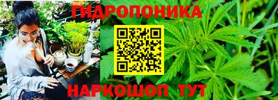 стаф Волжск